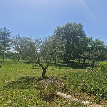 La Bastideta, Lägenhet Fayence Exteriör bild
