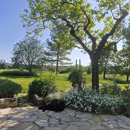 La Bastideta, Lägenhet Fayence Exteriör bild