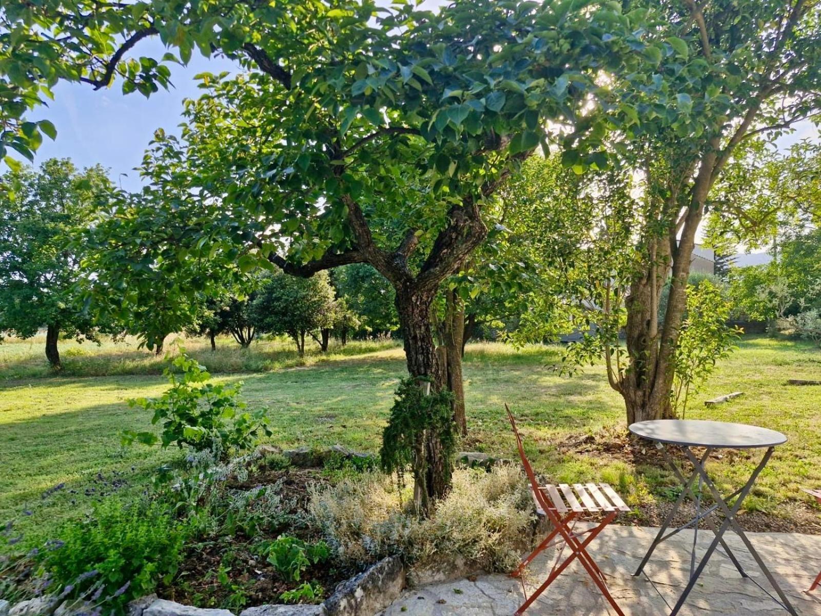La Bastideta, Lägenhet Fayence Exteriör bild