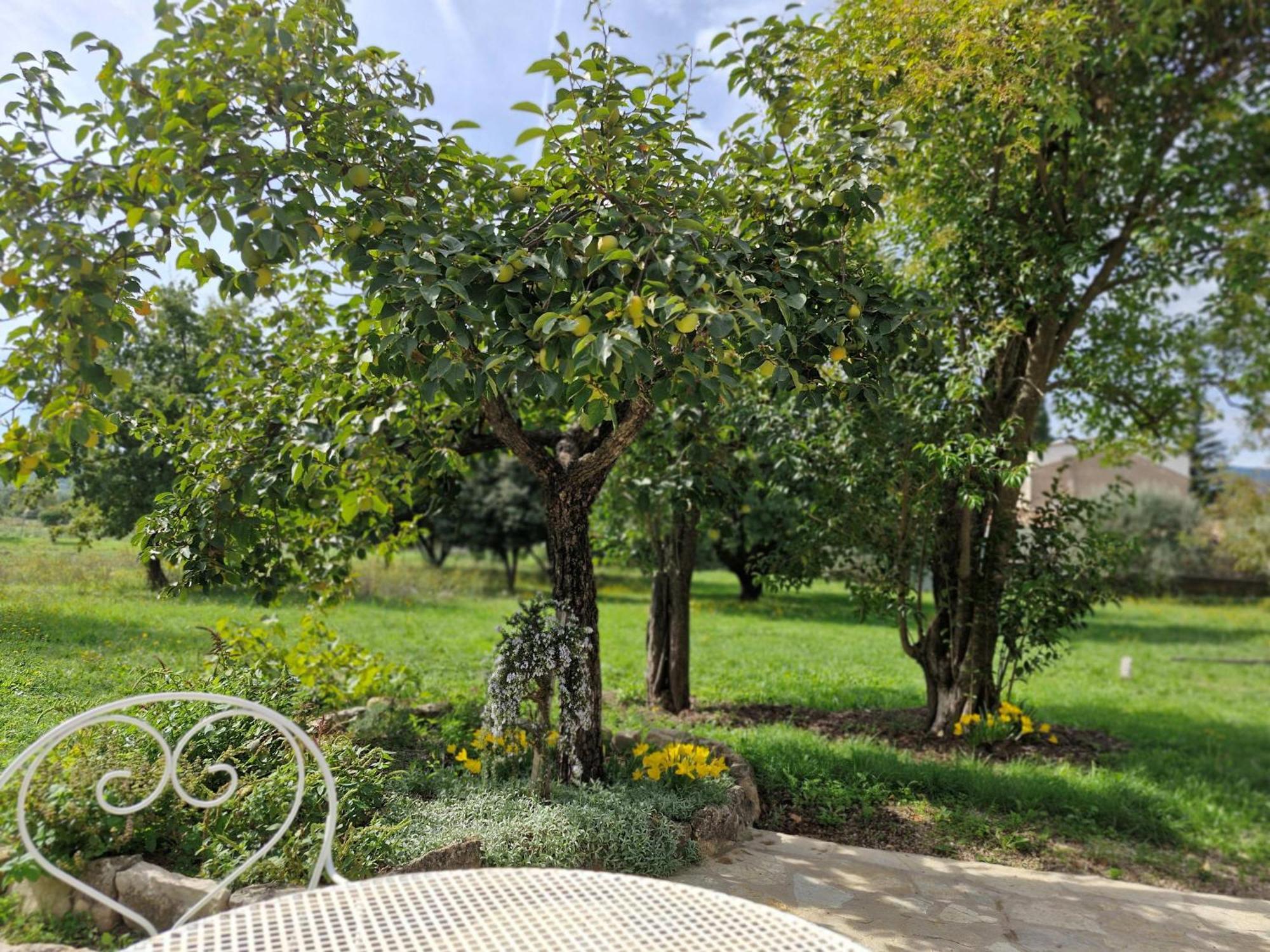 La Bastideta, Lägenhet Fayence Exteriör bild