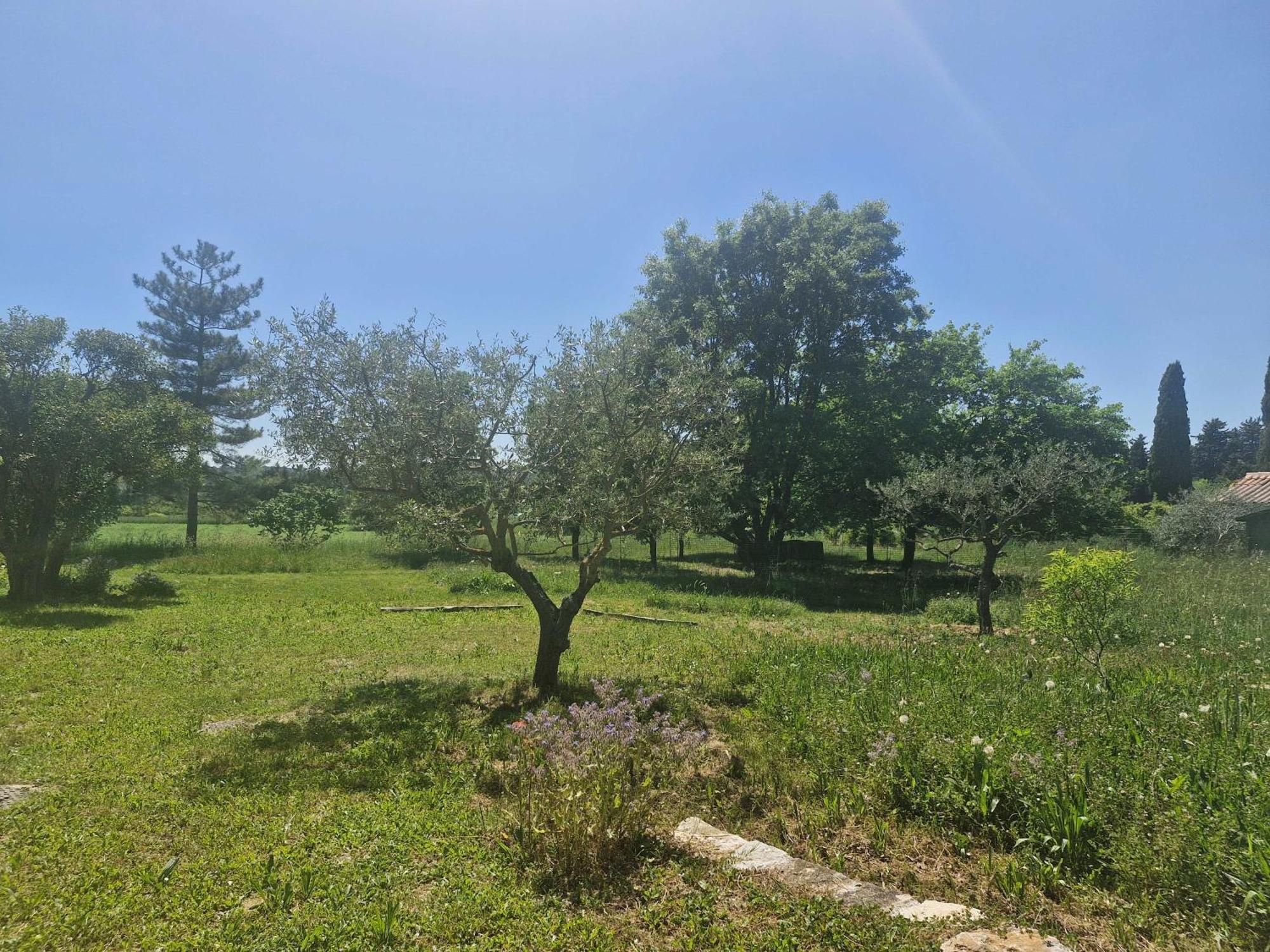 La Bastideta, Lägenhet Fayence Exteriör bild