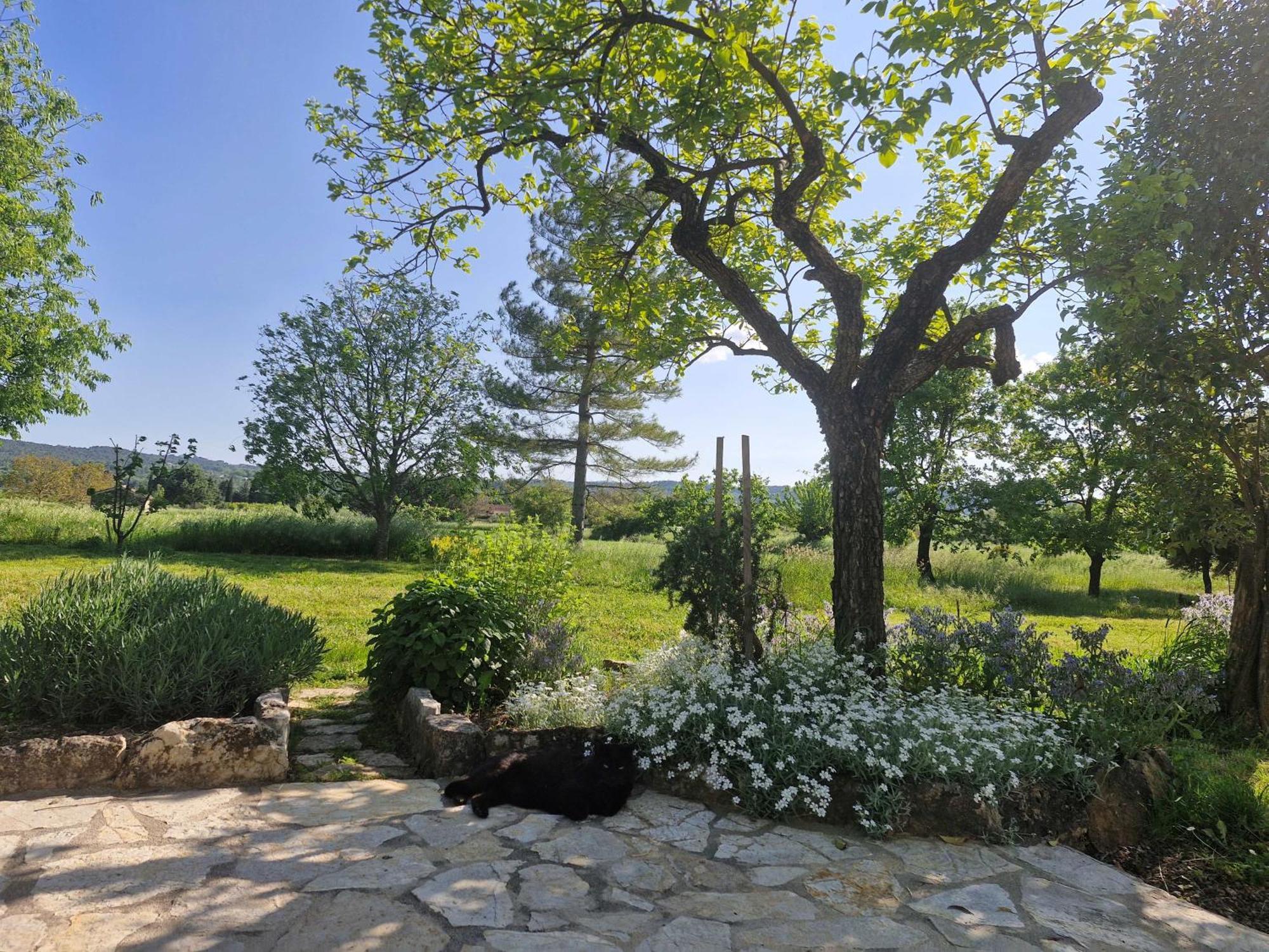 La Bastideta, Lägenhet Fayence Exteriör bild